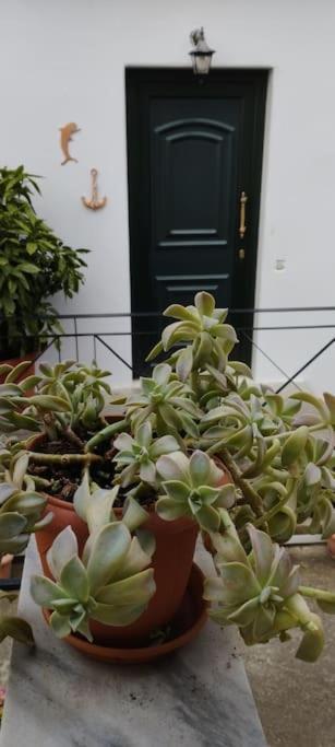 Elea Apartment Alexandroupoli