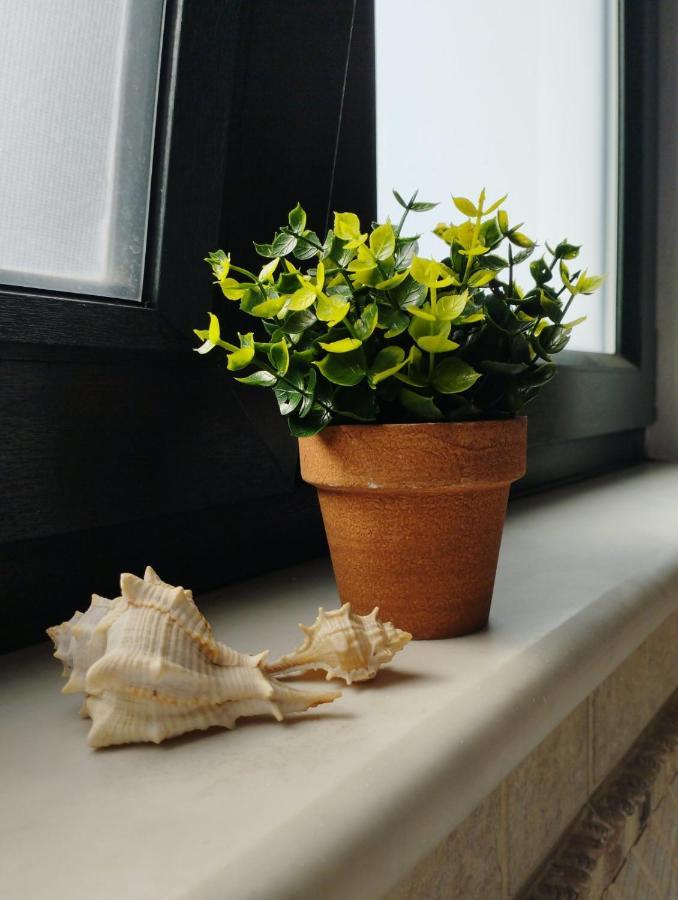 Apartment Elea *